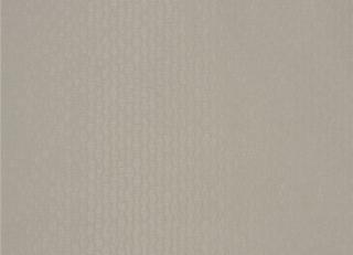 Фото - Ткани Zinc Scandal - 275017>