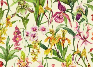 Фото - Обои Harlequin Colour 4 Wallpapers - 566899>