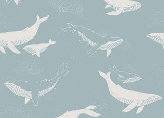 Фото - Обои BorasTapeter Newbie - 582099>