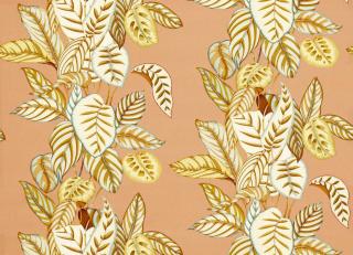 Фото - Ткани Sanderson Indoor Outdoor Prints - 607722>