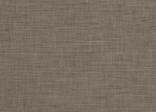 Фото - Ткани Clarke&Clarke Tussah & Seda - 362962>