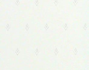 Фото - Обои Desima Head Line - 546800>