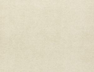 Фото - Ткани Lizzo Eternal - 502434>