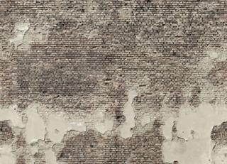 Фото - Обои Mr Perswall Communication - 234716>