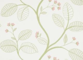 Фото - Обои Anna French Lyric - 244117>