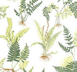 Фото - Ткани Thibaut Signature Prints - 274743>