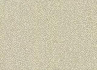 Фото - Обои Roberto Cavalli No.8 - 540533>