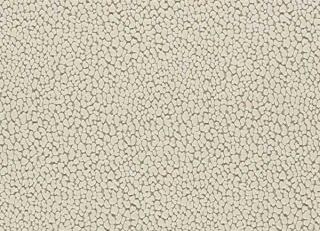 Фото - Ткани Harlequin Reflect Velvets - 602413>