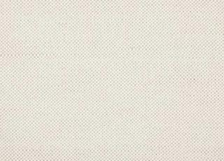 Фото - Ткани Alessandro Bini Unico collection - 473629>