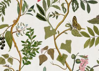 Фото - Обои Coordonne Maximalism - 559203>