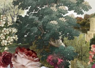 Фото - Обои Khroma Kent - 458860>