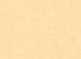 Фото - Обои Caselio Beton 2 - 631917>