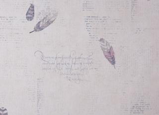 Фото - Обои Caselio Curiosity - 223609>