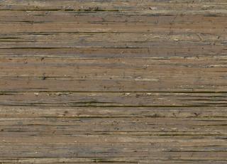 Фото - Обои Omexco Borneo - 356610>