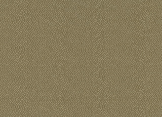 Фото - Ткани Rubelli Sharky - 624114>