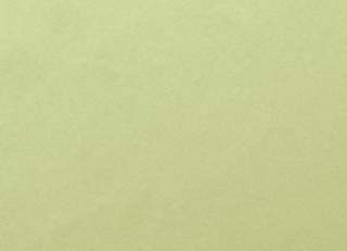 Фото - Ткани Houles Casanova - 332667>