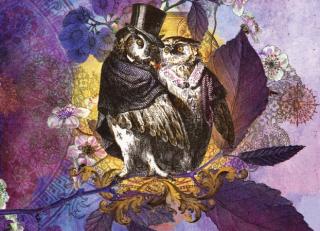 Фото - Обои Ortograf Эми Стюарт - 479970>