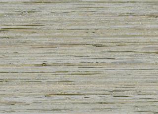 Фото - Обои Omexco Borneo - 356605>