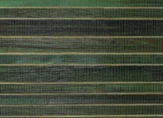 Фото - Обои Arte All Naturals - 617991>