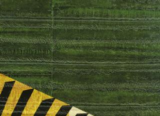 Фото - Обои Elitis Anguille Big croco Legend - 469482>