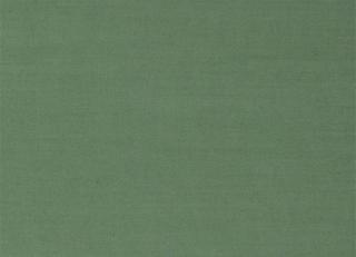 Фото - Зеленые ткани для штор - 428226>