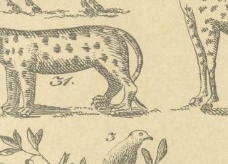 Фото - Обои Andrew Martin Museum - 243772>