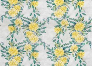 Фото - Ткани Osborne & Little Enchanted Gardens Fabrics - 324907>
