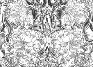 Фото - Обои Coordonne Metamorphosis - 505973>