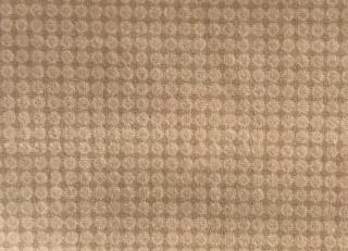 Фото - Ткани Foresti Home Collection Velluto Easy Clean - 570016>