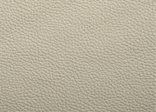 Фото - Ткани Alessandro Bini Jazz - 611235>