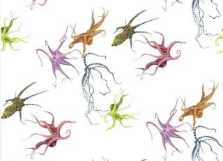 Фото - Ткани Alessandro Bini Driver - 593358>