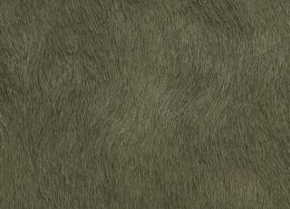 Фото - Аксессуары Holly Hunt Кожа Specialty - 589388>