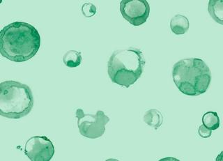 Фото - Обои KT Exclusive Tales - 347745>