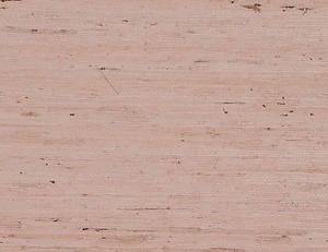 Фото - Обои Phillip Jeffries Vinyl Extra Fine Arrowoot - 511928>