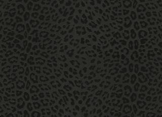 Фото - Обои Zambaiti Philipp Plein - 550605>