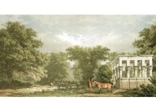 Фото - Обои Ada Wall Fiji Mural Collection - 529015>