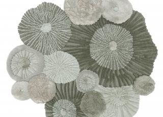 Фото - Ковры Limited Edition Atoll - 564107>