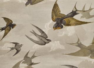 Фото - Обои Designers Guild John Derian - Picture Book - 412195>