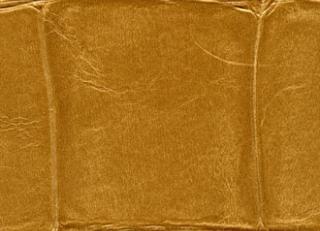 Фото - Обои Elitis Anguille - 257737>