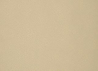 Фото - Обои Nobilis Esprit de Materieres - 415238>