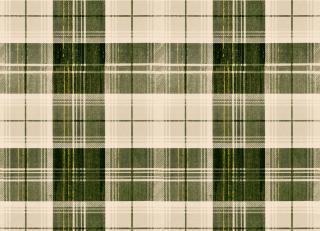 Фото - Обои Mindthegap Transylvanian Roots - 558966>