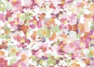 Фото - Обои Ich Dans Lemur Aura - 440788>