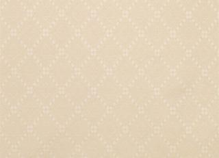 Фото - Ткани Nina Campbell Umbria - 304800>