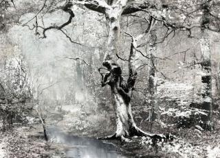 Фото - Обои Jean Paul Gaultier Pop Rock - 469992>