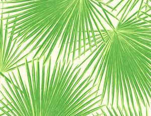 Фото - Обои Seabrook Tortuga - 434148>