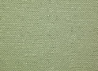 Фото - Ткани Manuel Canovas Malfa - 565265>