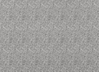 Фото - Ткани Villa Nova Roche - 489824>