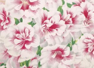 Фото - Обои Designers Guild John Derian - Picture Book - 412197>