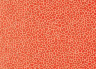 Фото - Ткани Matthew Williamson Samana - 260810>