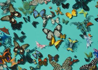 Фото - Ткани Christian Lacroix Carnets Andalous - 274939>